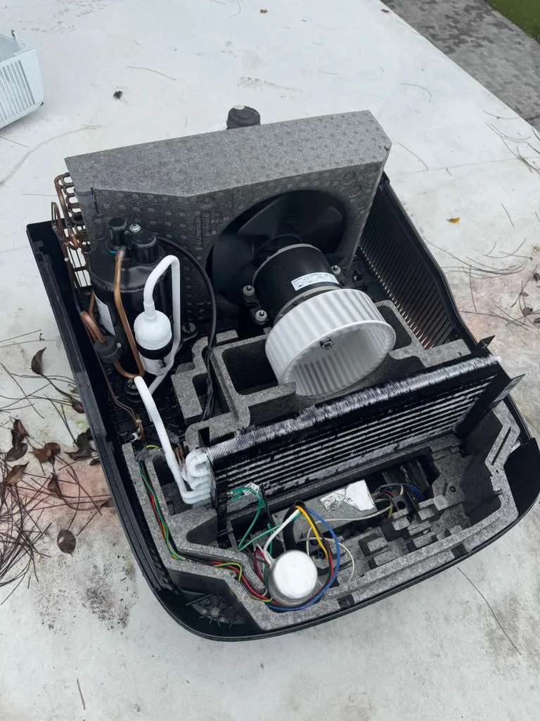 Mold Remediation Kissimmee in Kissimmee FL